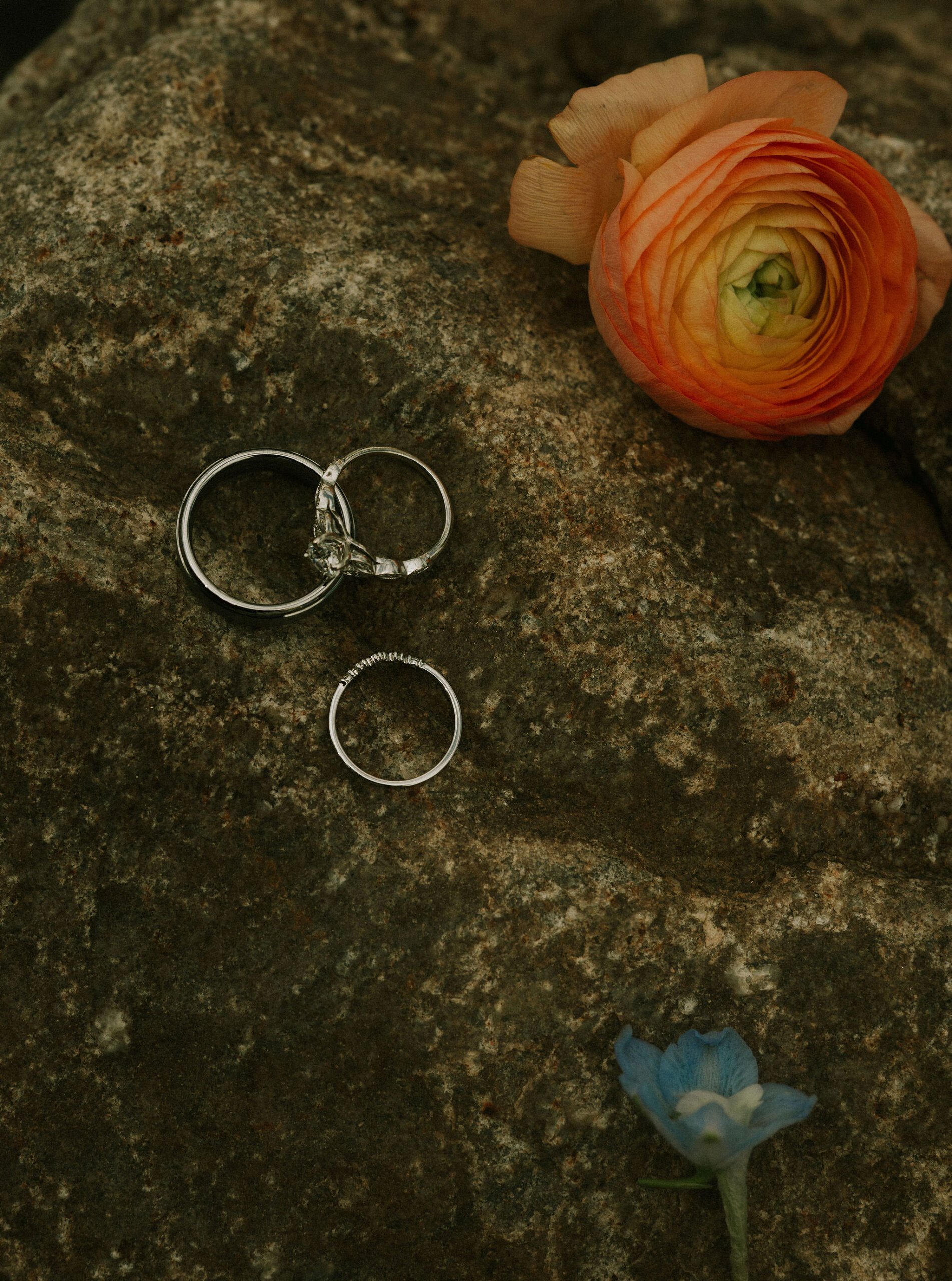 Detail photos of the bride and groom's rings and wedding bands.