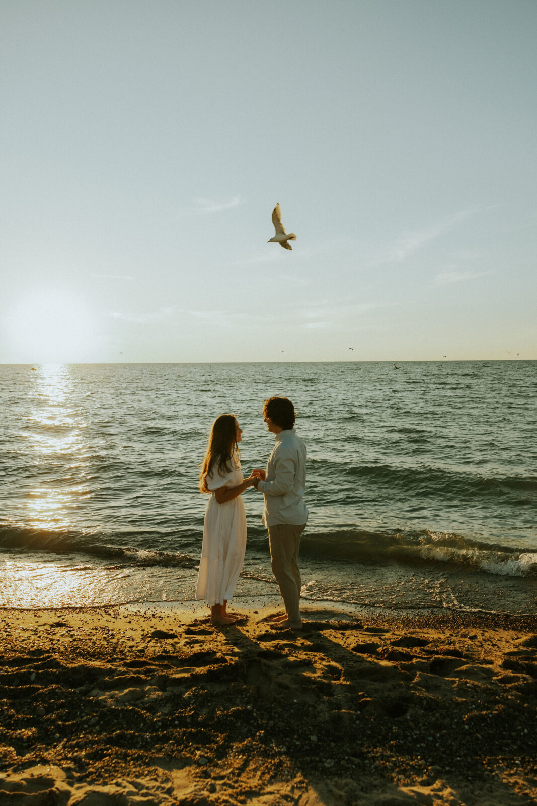Engaged couple holding hands on beach as seagull flies by on Warren Dunes State Park.