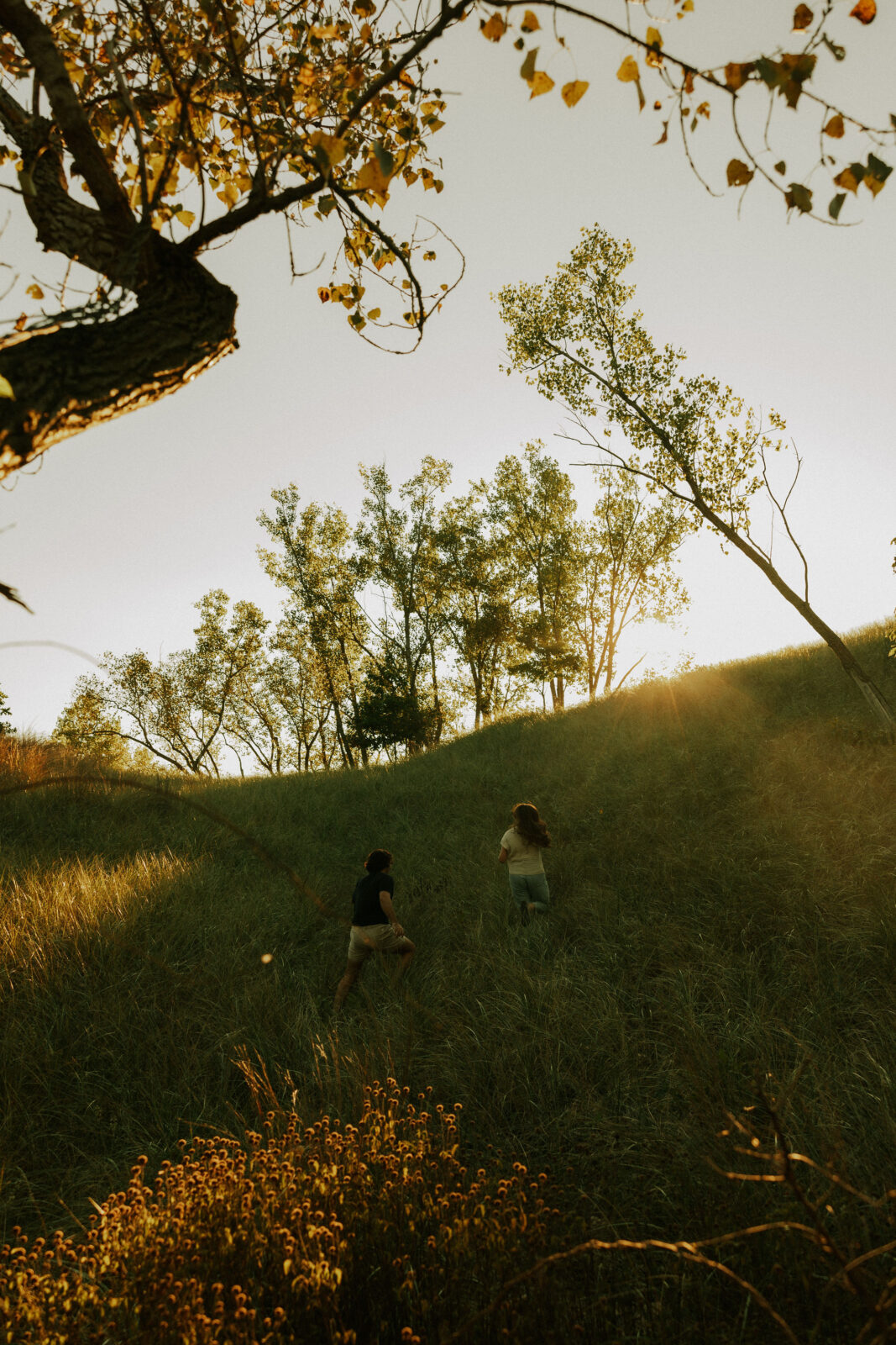 Couple chasing each other through the dunes at Warren dunes state park.